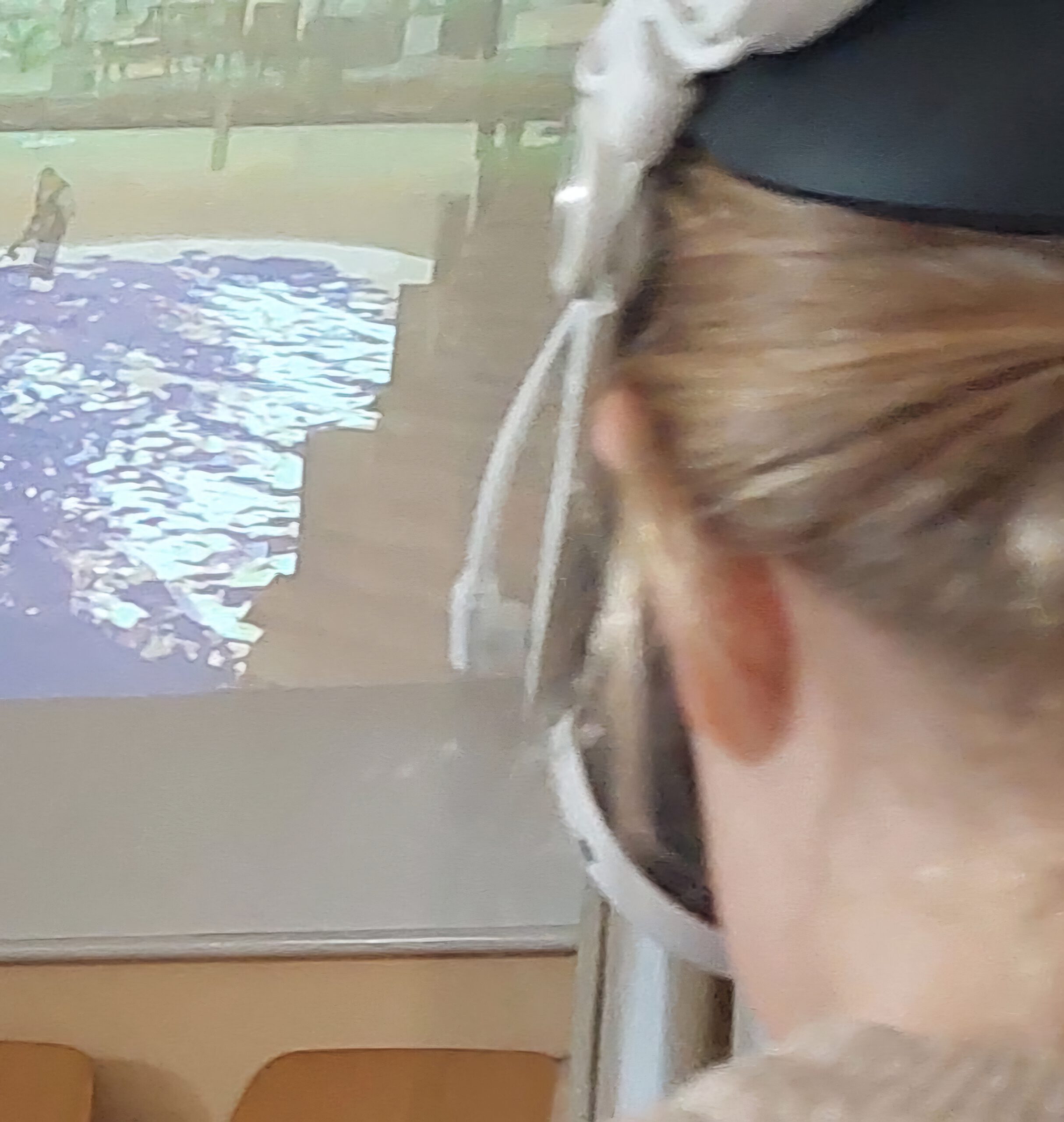 Sail Abenteuer-Reise am 12.3.2026